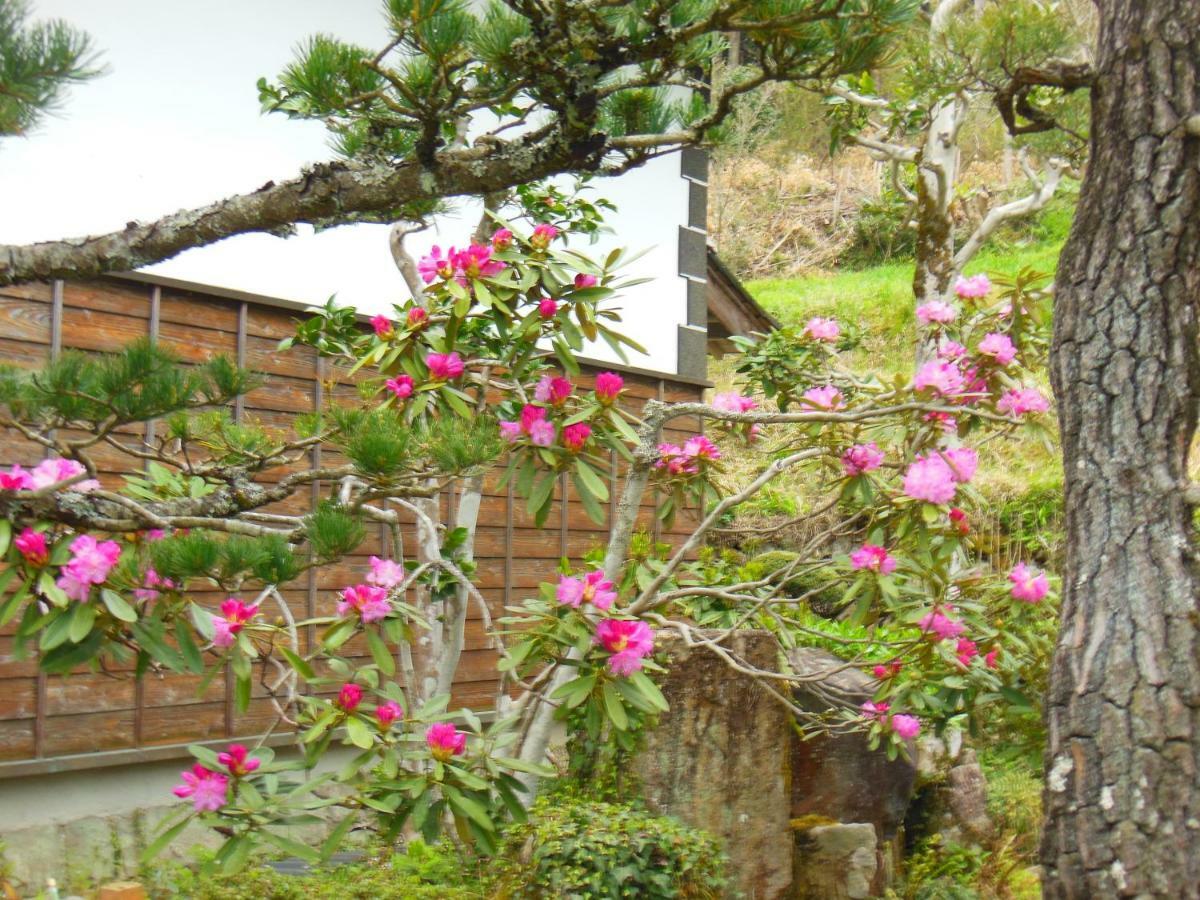 Japanese Style Inn Dohzen Miwa Niimi Exterior foto
